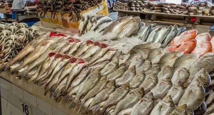 أسعار الأسماك والمأكولات البحرية اليوم الإثنين قبل شم النسيم