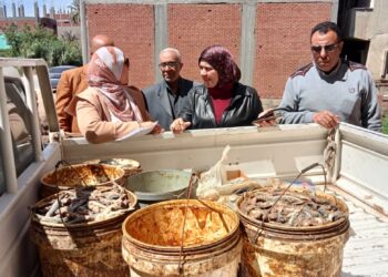 ضبط نصف طن دقيق بلدي وأسماك غير صالحة للاستهلاك الآدمي بالمنوفية