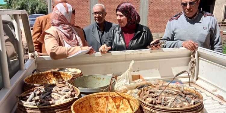 ضبط نصف طن دقيق بلدي وأسماك غير صالحة للاستهلاك الآدمي بالمنوفية