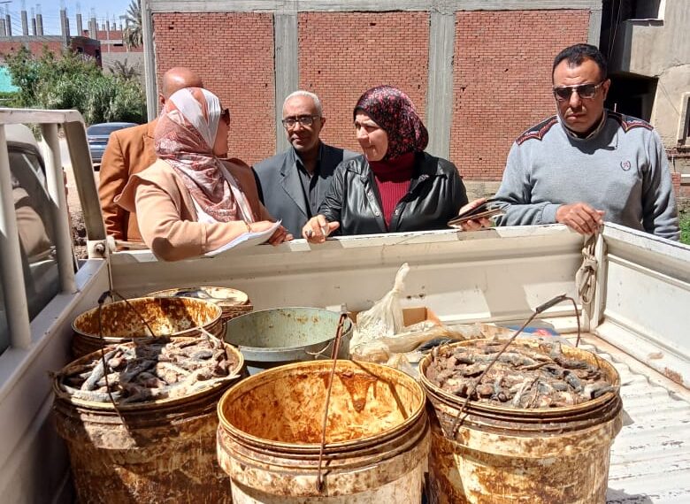 ضبط نصف طن دقيق بلدي وأسماك غير صالحة للاستهلاك الآدمي بالمنوفية
