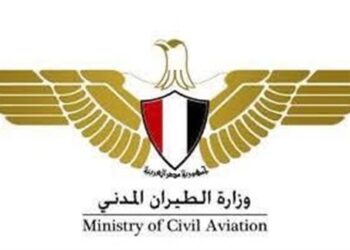 وزارة الطيران المدني تعلن إلغاء “كارت الجوازات الورقي” للركاب المصريين