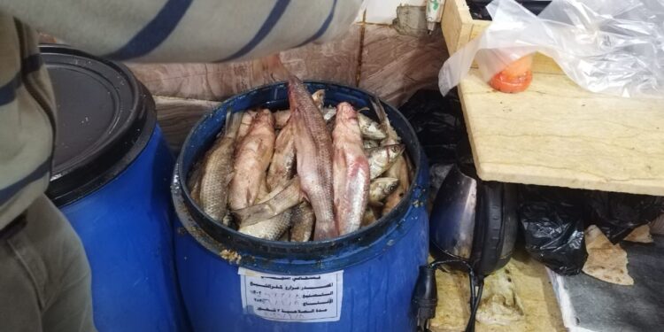 ضبط نحو 1.1 طن سلع فاسدة ومجهولة المصدر في حملات تموينية بكفر الشيخ