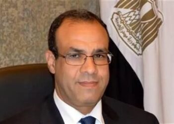 وزير الخارجية: أمن دول الخليج والعراق والأردن جزء لا يتجزأ من أمن مصر والأمن القومي العربي