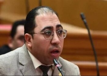 برلماني يزف أخبارًا سارة لحملة الماجستير والدكتوراة