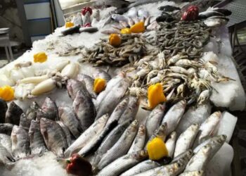 أسعار الأسماك اليوم الاثنين خلال احتفالات شم النسيم