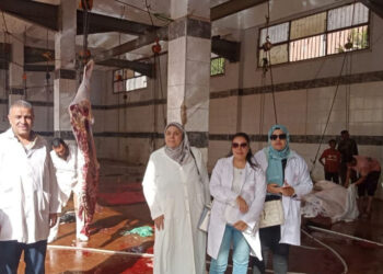 بيطري الشرقية: تم تجهيز ١٦ مجزر حكومي للذبح بالمجان خلال أيام عيد الأضحى