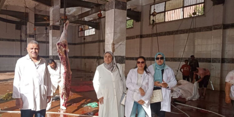 بيطري الشرقية: تم تجهيز ١٦ مجزر حكومي للذبح بالمجان خلال أيام عيد الأضحى