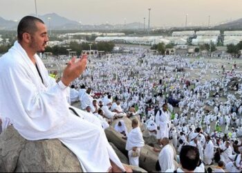 الجمعة.. بدء سفر أول أفواج حجاج الجمعيات الأهلية للمدينة المنورة الجمعة