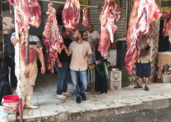 الجيزة تضبط 6 أطنان لحوم ومصنعات دواجن فاسدة