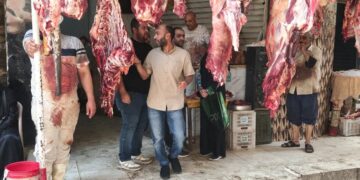 الجيزة تضبط 6 أطنان لحوم ومصنعات دواجن فاسدة