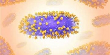 مستشار الرئيس للشؤون الصحية: لا توجد أي حالات مرصودة في مصر لـ فيروس هانتا
