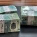 الحكومة تكشف حقيقة وقف إصدار العملات البلاستيكية فئة 10 و20 جنيها
