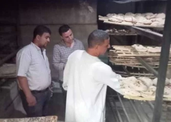 شروط رخصة المخبز البلدي والأوراق المطلوبة لاستخراج الترخيص