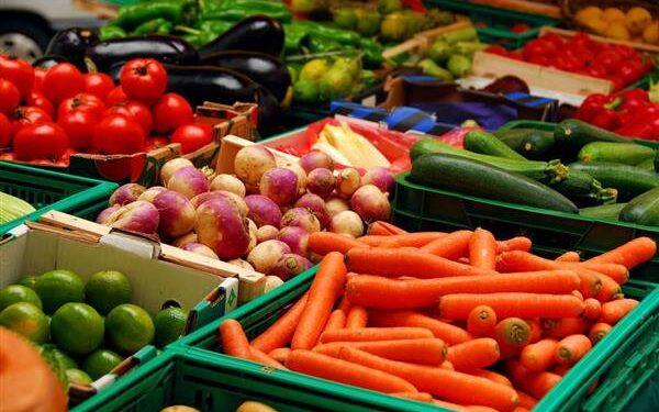 أسعار الخضروات اليوم في سوق العبور 15-6-2026