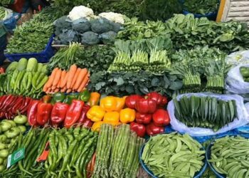 أسعار الخضروات اليوم السبت 20-6-2026 في سوق العبور