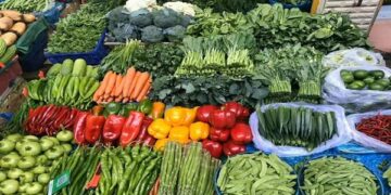أسعار الخضروات اليوم السبت 20-6-2026 في سوق العبور