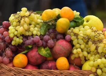 أسعار الفاكهة اليوم السبت 20-6-2026 في سوق العبور