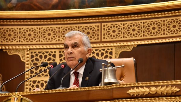مجلس الشيوخ يرفض طلب رفع الحصانةعن أحد النواب لعدم استيفاء الشروط