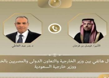 وزير الخارجية يبحث مع نظيره السعودي العلاقات الثنائية والتطورات الإقليمية