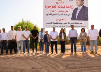 رئيس مجلس إدارة هيئة تنمية الصعيد يطالب منال عوض بتعميم زراعة الجوجوبا بالوجه القبلي