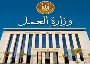 وزارة العمل تحذر من صفحات وهمية تنتحل صفة الوزارة وتدّعي تقديم منحة العمالة غير المنتظمة