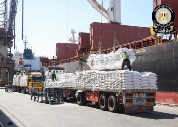 مجلس الوزراء يرصد استمرار النشاط التشغيلي بميناء دمياط بكفاءة كاملة