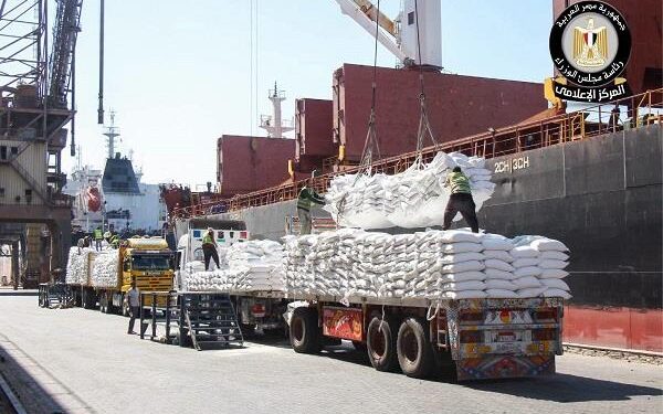 مجلس الوزراء يرصد استمرار النشاط التشغيلي بميناء دمياط بكفاءة كاملة