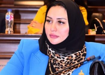 مقترح برلماني لتغيير “ربة منزل” في بطاقة الرقم القومي لـ«صانعة جيل»