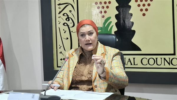 «القومي للطفولة» يتدخل لإنقاذ طفلة تركت بمفردها في شوارع الخصوص ويؤمن رعايتها