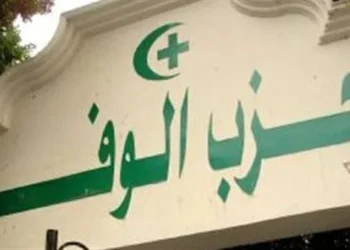 صحفية بالوفد تسد بوابة الدخول بسيارتها اعتراضًا على إيقافها.. والحزب يحرر محضرًا ضدها