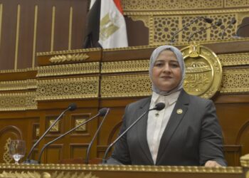 أمين سر الطاقه بالشيوخ: الدولة المصرية قادرة على حماية مقدراتها ومواصلة مسيرة التنمية