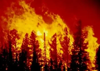 إسبانيا تواجه موسم حرائق كارثيًا.. إجلاء سكان 16 قرية بسبب النيران