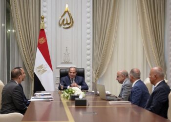 الرئيس السيسي يوجه بالتوسع في الطاقة المتجددة ورفع مساهمتها إلى 45% بحلول 2028