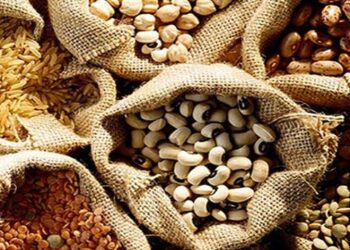 أسعار البقوليات والحبوب اليوم الأربعاء 19 أغسطس 2026