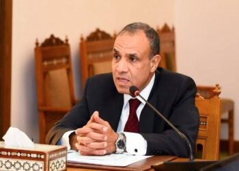 بدر عبد العاطي: مصر تعمل مع الوسطاء لتطبيق خطة الرئيس الأمريكي بشأن غزة