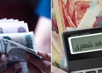 أعلى شهادات الادخار السنوية في البنوك.. مقارنة العائد وأفضل الخيارات