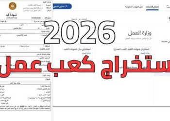 استخراج كعب العمل إلكترونيا في 2026 عبر منصة مصر الرقمية
